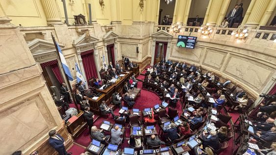 El Senado debatirá mañana la interpelación de Adorni y el proyecto de propiedad privada. (foto archivo)
