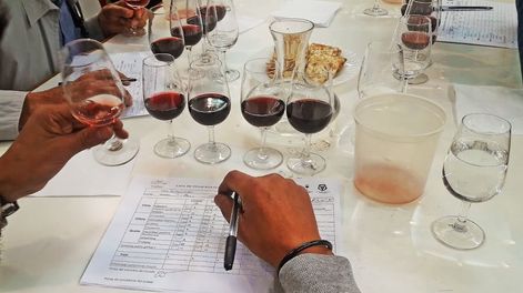 Los jueces otorgaron puntajes del 1 al 100 a los vinos y solo cuatro superaron los 96 puntos. - Gentileza
