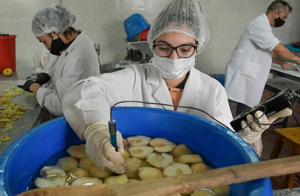 Alumnos del sexto año de Practicas Profesionalizantes de producciones agropecuarias de la Escuela 4 -062 profesora Juana Beatriz Albornoz de Cortes. Foto: Orlando Pelichotti  /Los Andes