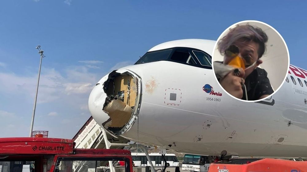 Pánico aéreo: un avión tuvo que aterrizar de enmergencia porque impactó de frente con un ave.