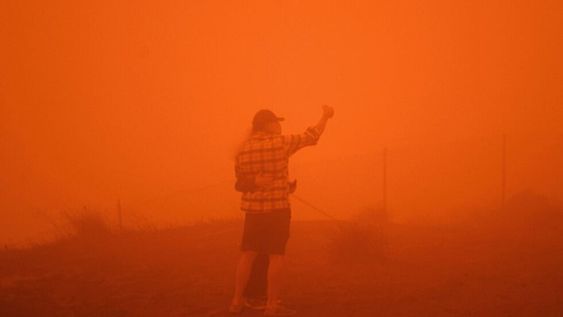 El presidente y candidato a la reelección Donald Trump visitó hoy la capital de California, uno de los estados más golpeados por las llamas, donde se reunirá con un grupo de bomberos y autoridades locales. / Gentileza