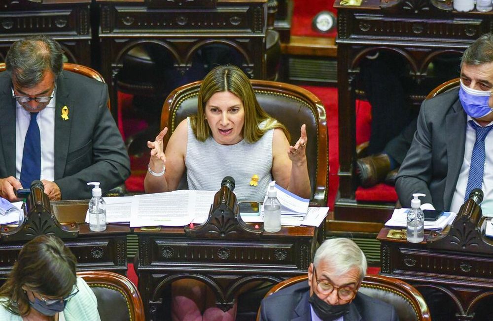 El actual proyecto de Ficha Limpia es una variante del que había presentado la diputada Silvia Lospennato (PRO). Foto archivo: Federico López Claro