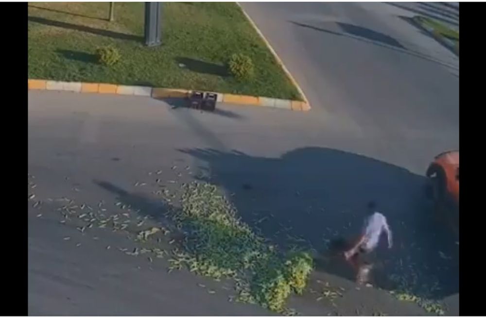 Video conmovedor: se le cae un cargamento de chauchas en el medio de la calle y pasa algo inesperado