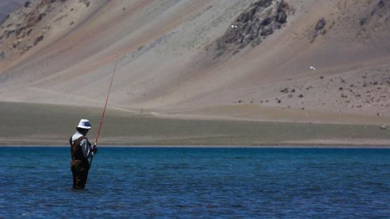 El agente público solicitaba de forma sistemática un 20% del valor de los cheques que este guardaparque hacía llegar al comercio en concepto de alimentos para efectivos en Reservas Naturales.