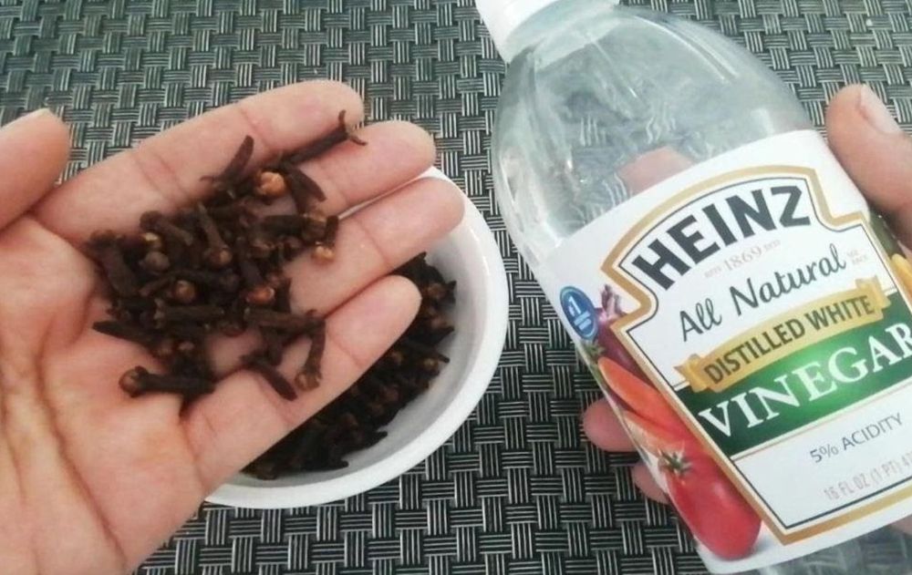 Es una alternativa natural que reemplaza con éxito los ambientadores artificiales y ayuda a mantener la casa limpia, equilibrada y saludable.