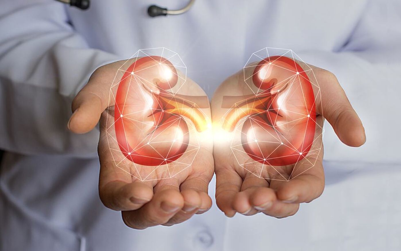 La incidencia de la enfermedad renal crónica (ERC) aumenta en Argentina y con ello, la demanda de diálisis y trasplantes.