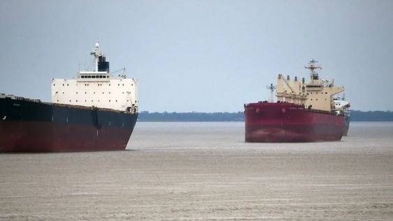 Las exportaciones vitivinícolas han credio en 2020, pese a la pandemia.