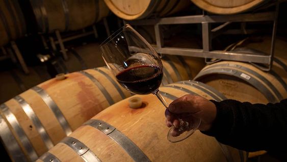 El representante del Valle de Uco describe que los productores vitivinícolas de la zona están trabajando a pérdida y que las bodegas abusan de su poder dominante. / Foto: Ignacio Blanco