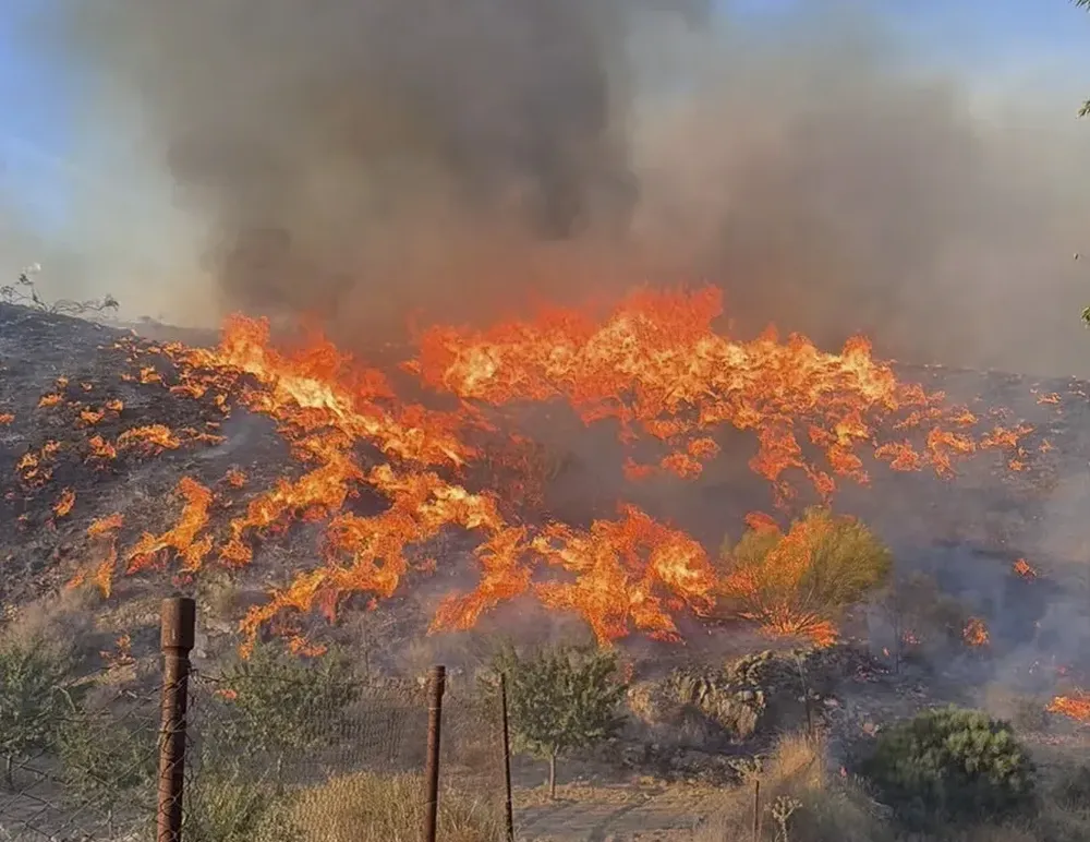 Devastador incendio forestal en España. 
