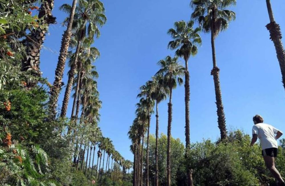 Pronóstico del tiempo: ascenso de la temperatura en Mendoza. Foto: Orlando Pelichotti