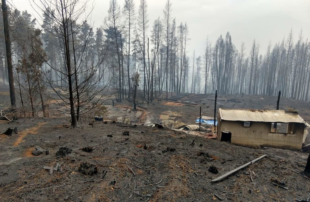 Así quedó la chacra de Jésica Castillo y sus hijos Juan Ignacio y Manuel, mendocinos que viven en Las Golondrinas, distrito de Lago Puelo (Chubut). | Gentileza.