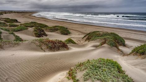 Dónde queda y cómo llegar a Ritoque, la tranquila playa de dunas y bosques a menos de una hora de Reñaca. Foto: Instagram @jpdelaharpe