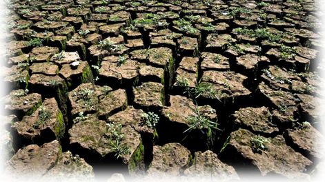 Agua y educación ambiental en  las agendas escolares de Mendoza