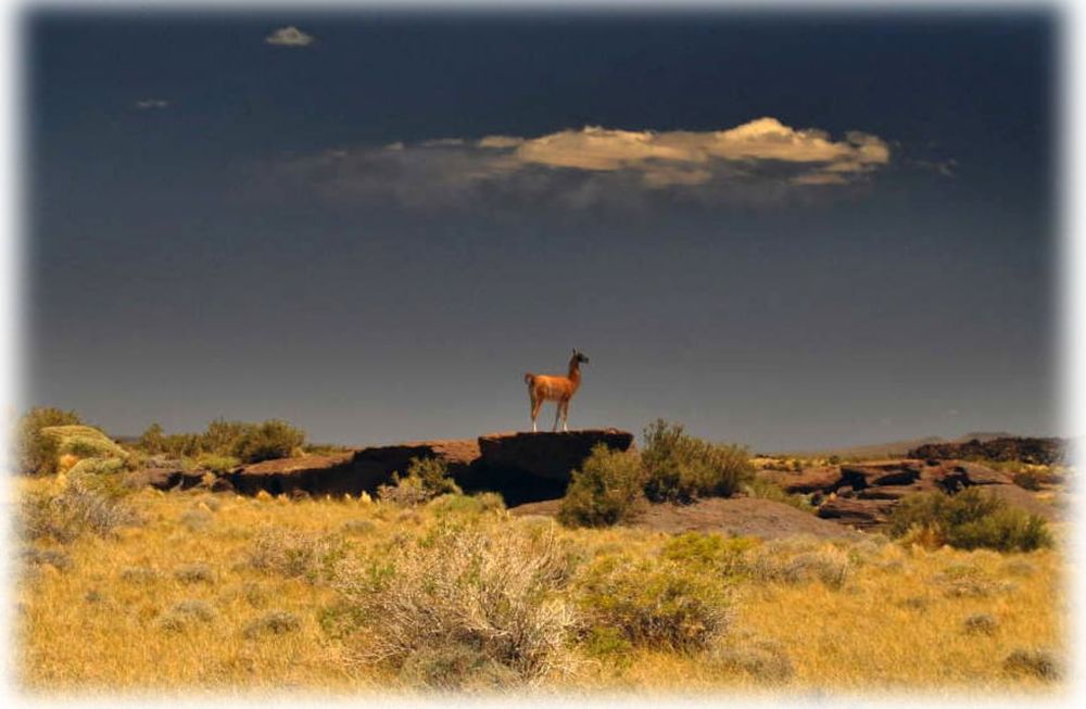 Mendoza enfrenta el cambio climático con políticas sustentables