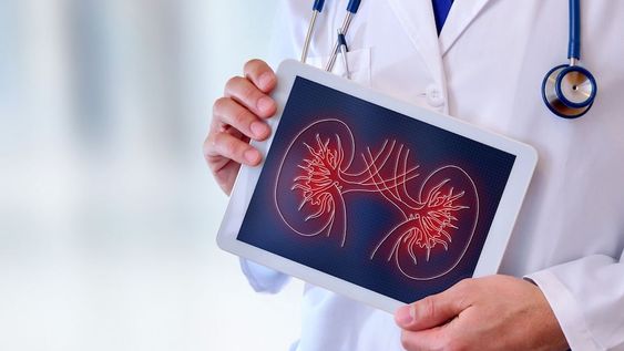 Una de cada 8 personas podría presentar enfermedad renal crónica en Argentina