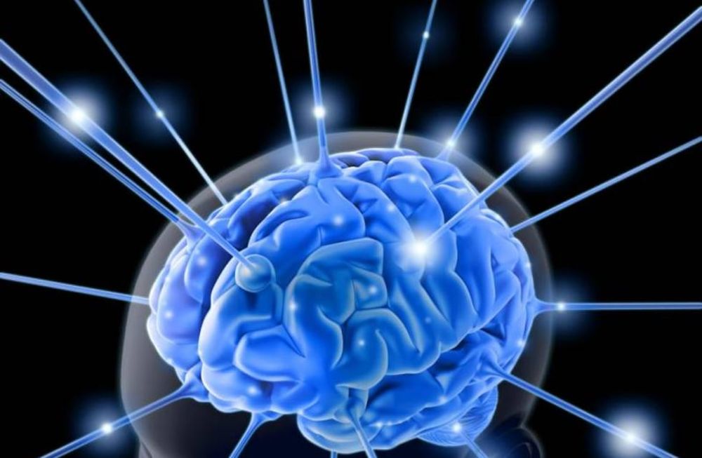 Conocé los secretos de la neurociencia