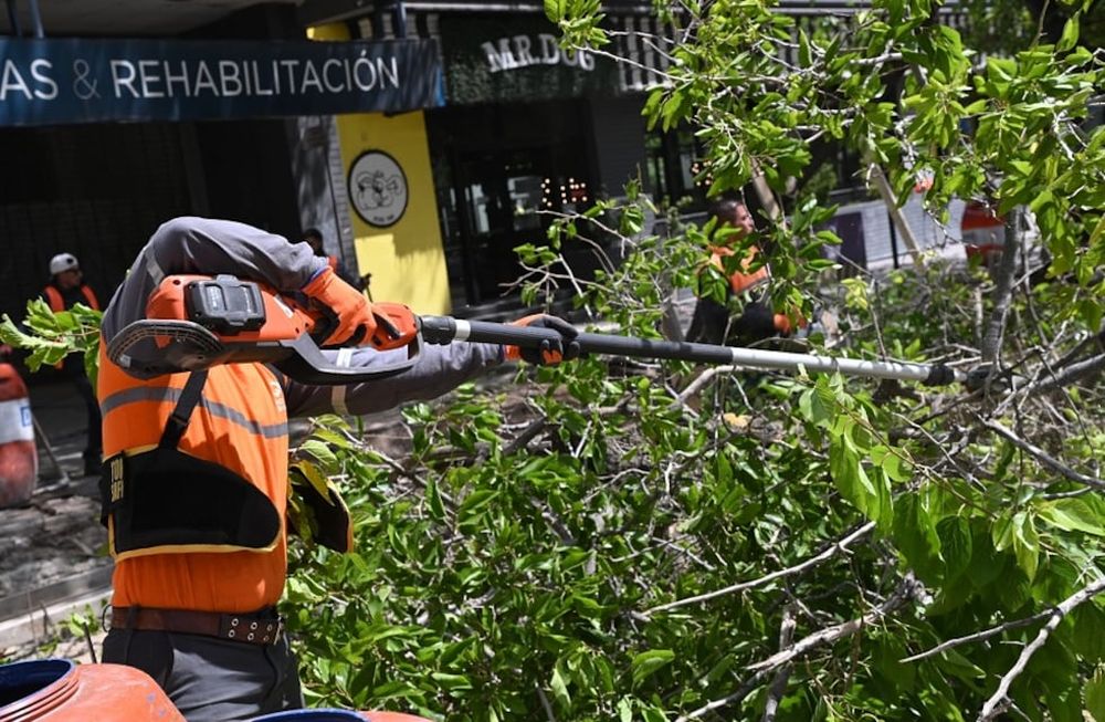 Reporte post viento zonda: personal de la Muni sigue trabajando en las zonas afectadas