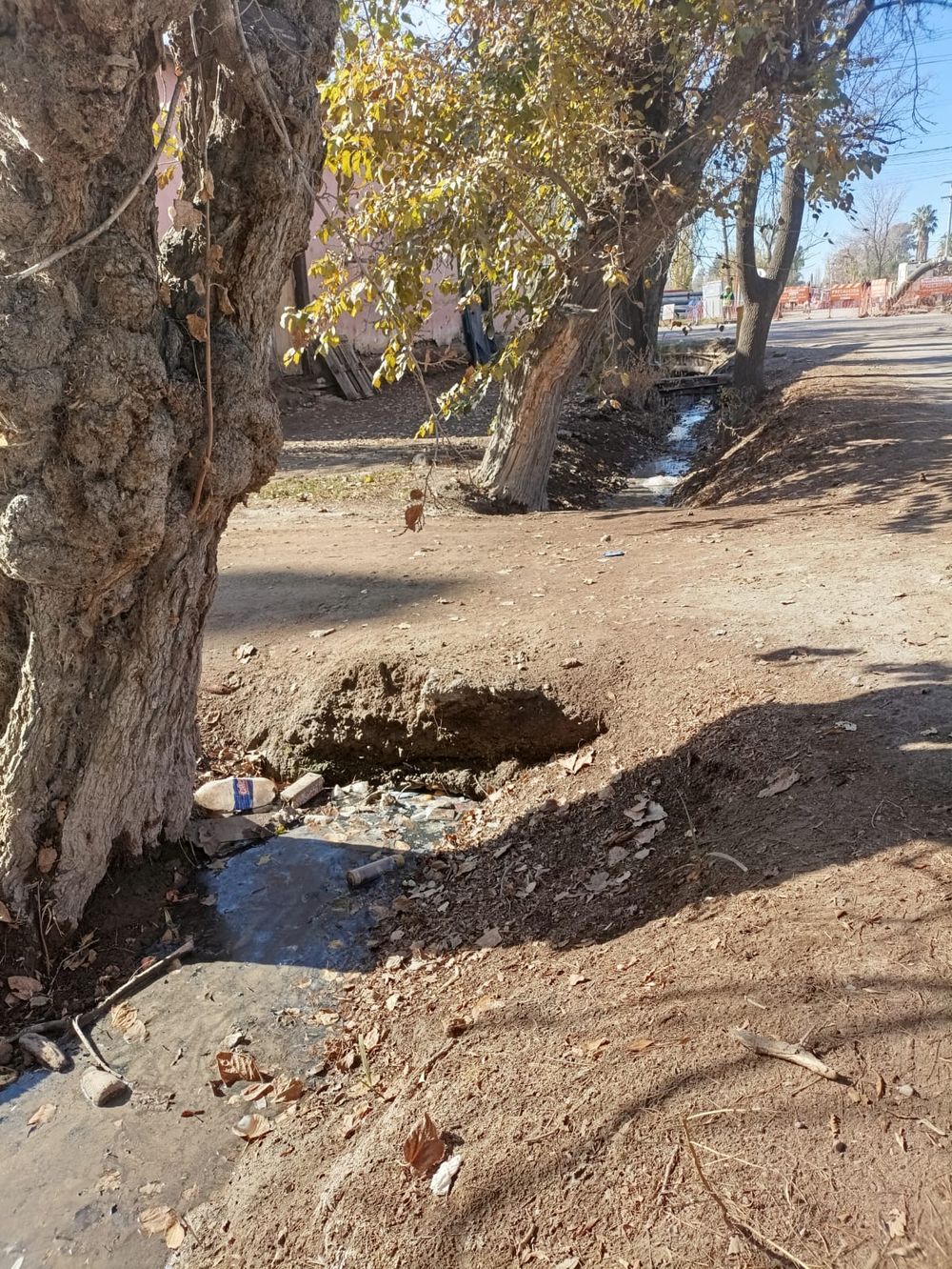 Derrame cloacal en Corralitos