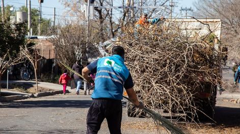 Se inicia una nueva semana de trabajos en arbolado y bacheo de arterias