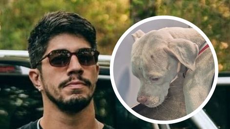 Los Andes | Rescataron a un dogo desnutrido en la casa de Claudio Barrelier, el acusado de matar a Agostina Vega