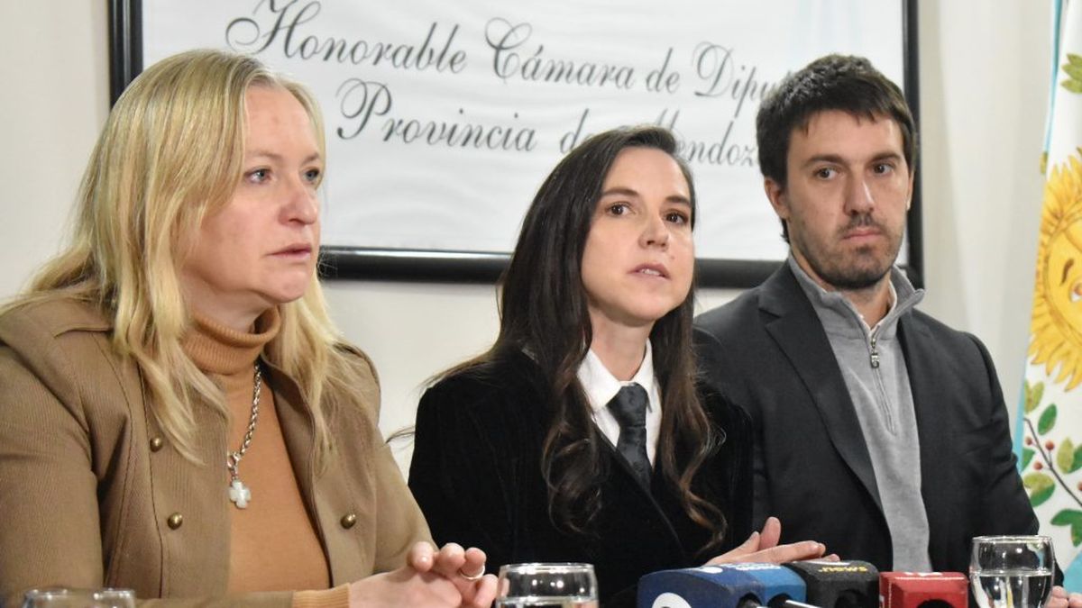 Mendoza puede tener la primera Ley de Ciberseguridad del país: en qué consiste el proyecto que presentó Rus