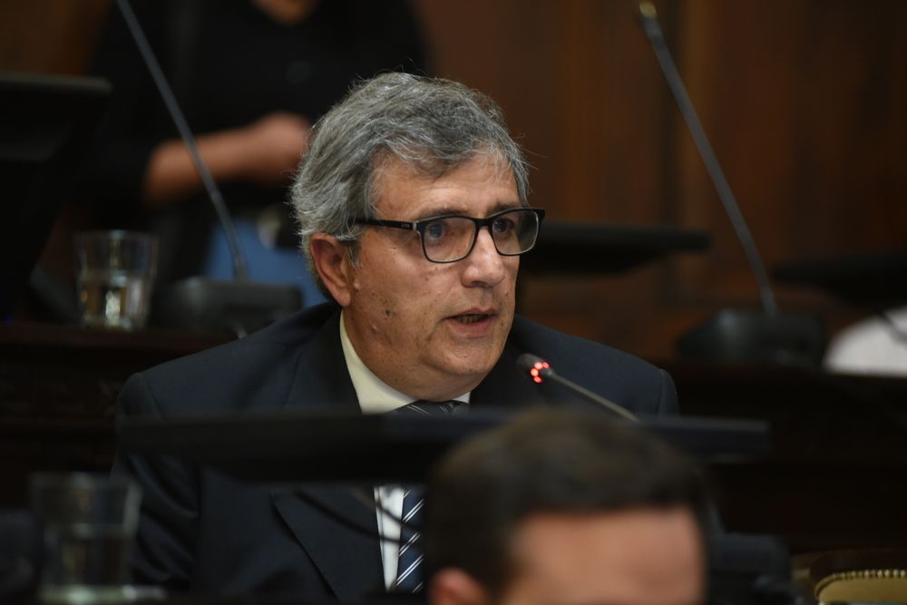 El senador del Partido Dem&oacute;crata, Armando Magistretti.