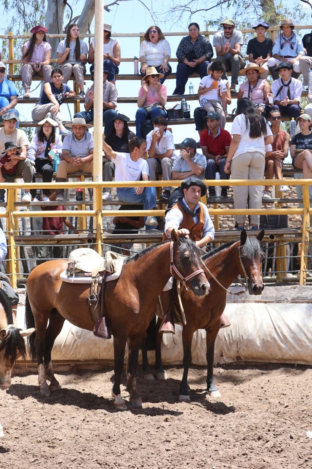 Expo Vendimia de caballos criollos en el predio exFeriago. Pruebas, muestras, artesanías y tradición en el Multiespacio Cultural de Luján de Cuyo.