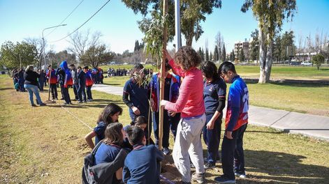 Los Andes | 2Y7PUPV6SNEMRK2RESI5VWJGQI.jpg?quality=75&smart=true&auth=883abe98c61f89da68d99bb73921cd2f15ae2ff340e3d171d987891e658ff152&width=980&height=640