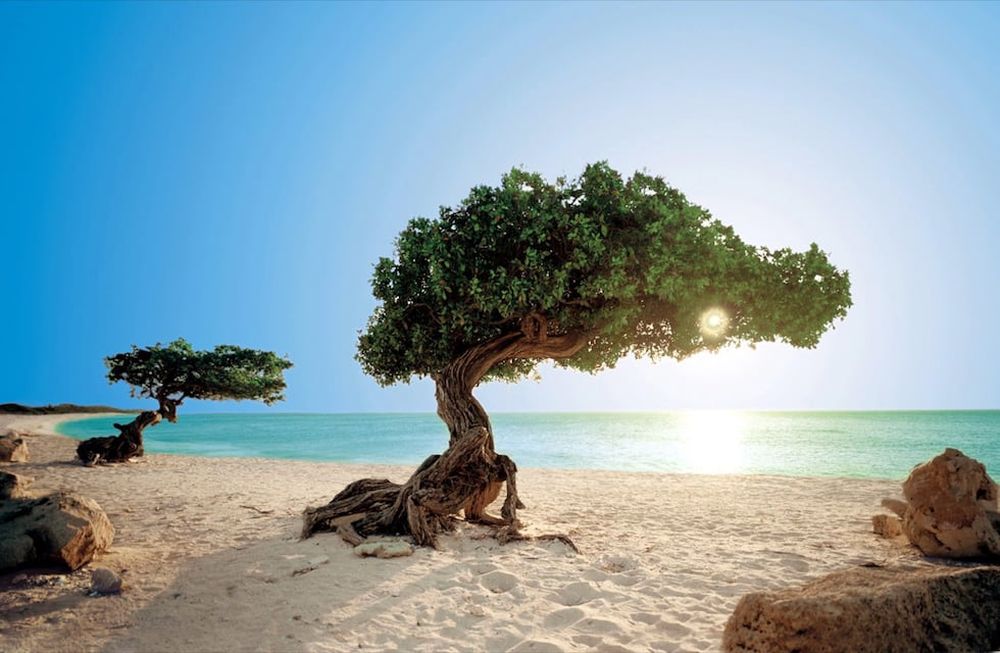 Aruba se corona como la isla con el mejor clima