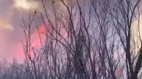 Incendio forestal fuera de control en Las Catitas, Santa Rosa. (Gentileza Enzo González)