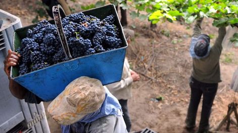 El Gobierno nacional prorrogó por un año la compatibilidad de los planes sociales con el trabajo rural.