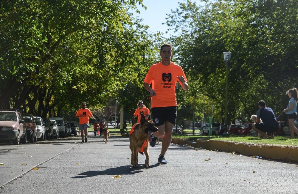 Este será el recorrido de la Maratón Animal 2022