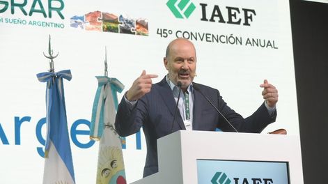 Los Andes | Federico Sturzenegger, ministro de Desregulación y Transformación del Estado,  45º Convención Anual del Instituto Argentino de Ejecutivos de Finanzas (IAEF) que se realizó en Mendoza. Foto: Gentileza