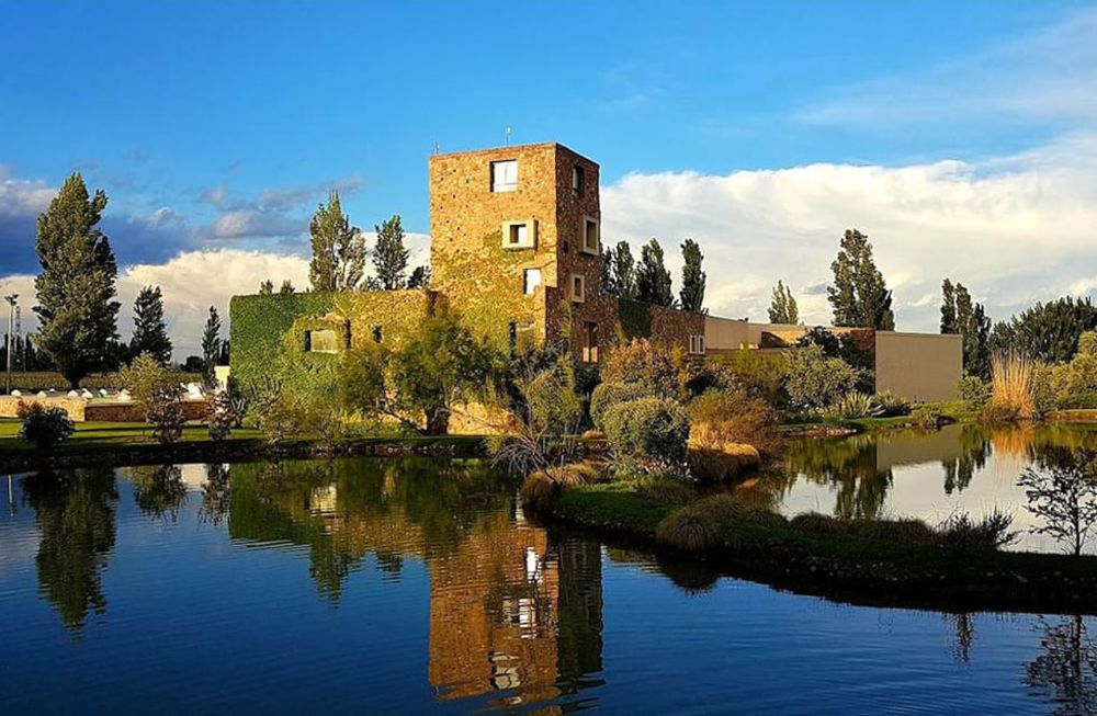 Algunos mercados, sobre todo en Europa, son grandes consumidores de vinos orgánicos de Bodega Renacer.