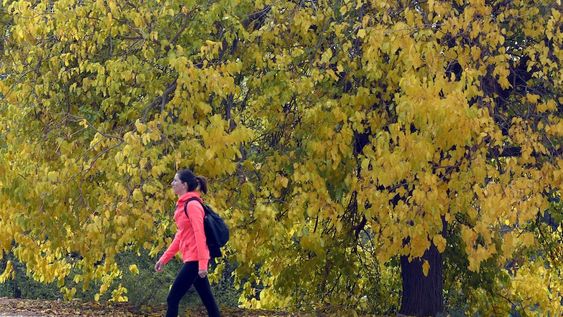 Pronóstico del tiempo. Asciende la temperatura este viernes en Mendoza. Archivo / Los Andes&nbsp;