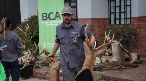 Destapó una mega red de caza ilegal y tráfico de fauna y será el primer argentino en recibir un prestigioso premio