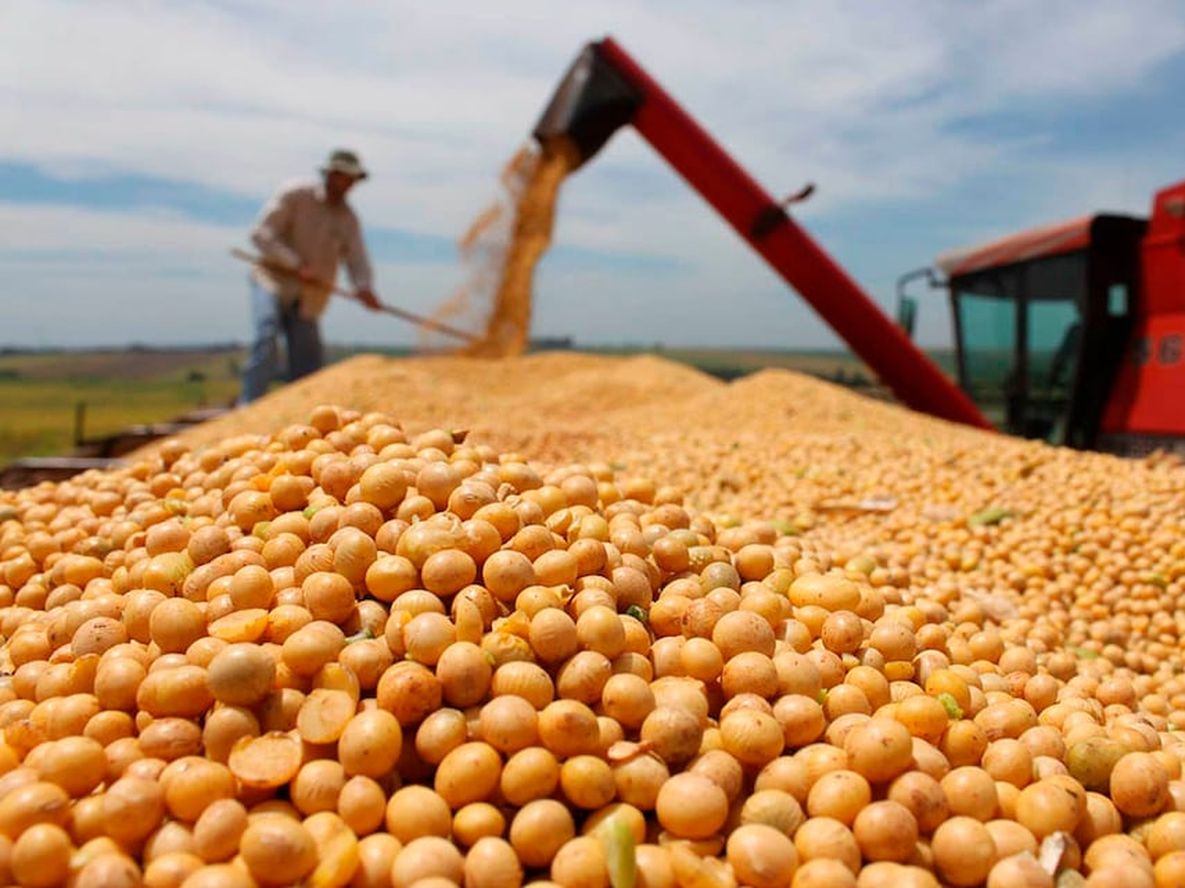 Empresarios, productores, emprendedores y toda persona que esté pensando en invertir, se encuentra siempre con el mismo problema en Argentina: la falta de previsibilidad.