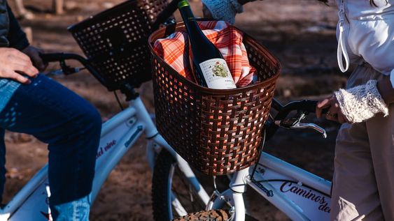 Bodega Renacer presenta sus actividades de invierno