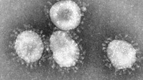 En Aconcagua Radio, el brote europeo de gripe H3N2 que prende alertas