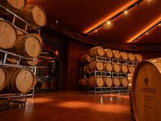 coronados de gloria: como huentala wines traduce el terroir de gualtallary en alta calidad permanente coronados de gloria: como huentala wines traduce el terroir de gualtallary en alta calidad permanente