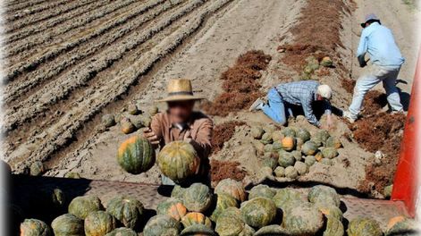 En defensa  de la competencia - Por Luis Borsani