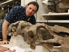 Mendoza, tierra de saurios: los 6 ejemplares que vivieron en estas tierras y la voz del “Señor de los Dinosaurios”. Foto: Gentileza Bernardo González Riga