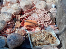 La Policía secuestró toneladas de carne en mal estado en San Carlos La Policía secuestró toneladas de carne en mal estado en San Carlos