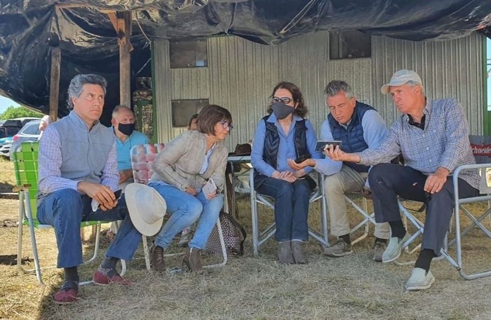 La ex ministra Bullrich y los hermanos Etchevehere escuchando el fallo de la jueza.