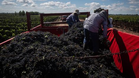 Los Andes | las restricciones a la circulación por la pandemia no son la principal preocupación, pero sí el posible ausentismo producto de los contagios. Foto: Ignacio Blanco / Los Andes