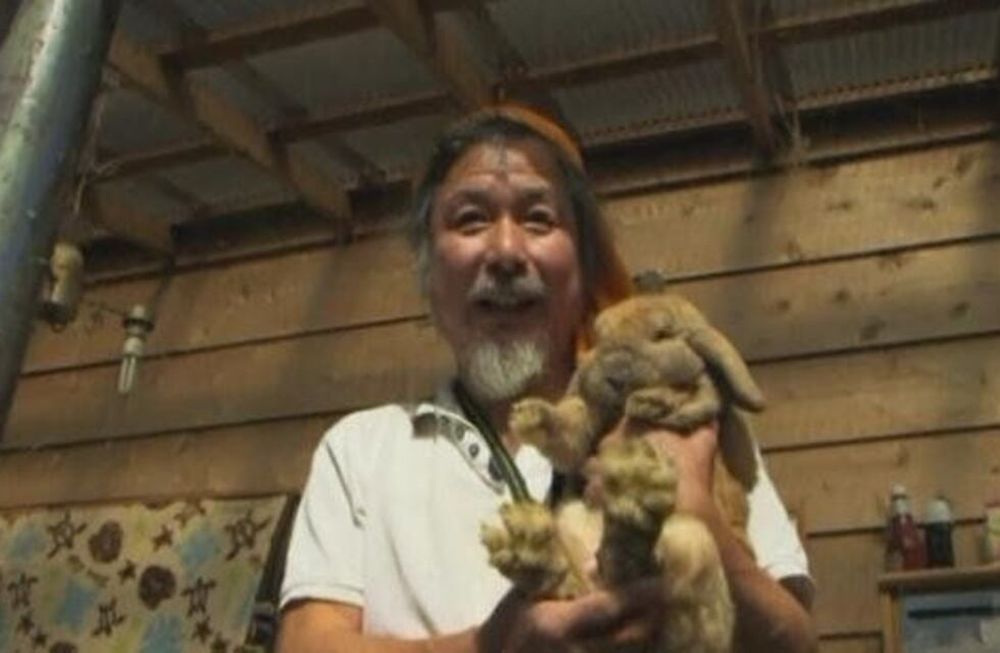 El último hombre de Fukushima se niega a irse porque cuida a 500 animales