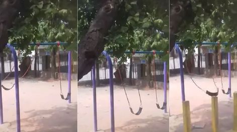 Video: un columpio poseído  se mueve solo bruscamente y aterra a los chicos en un parque
