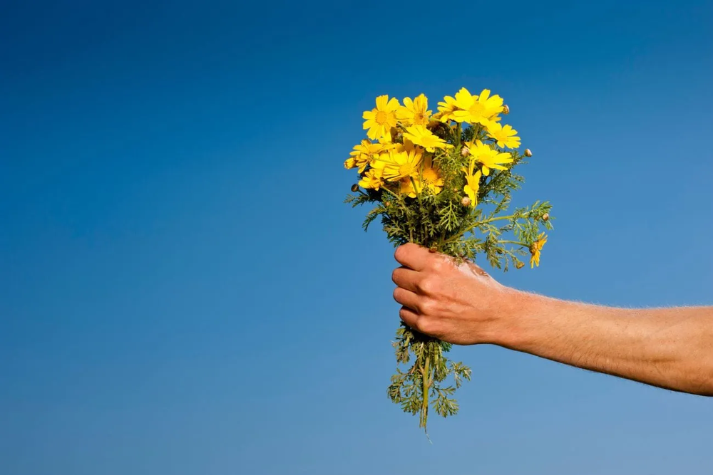 Se recomienda no regalar flores amarillas en el Día de los Enamorados.