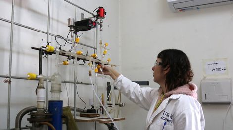 Los Andes | 4KLNOZFIVVB3JNVPIXIGD2BDEI.jpg?quality=75&smart=true&auth=cc7713759861228e53bc7b34ad2576cecacc7be06c1273a5600db0e771ab2da2&width=980&height=640