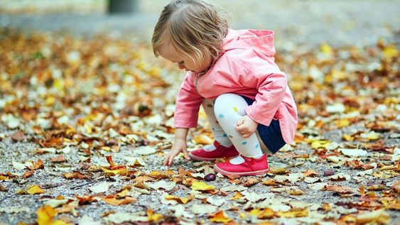 Con la llegada del otoño se abre la temporada de paseos por calles pintadas de mil colores. Es un tiempo para disfrutar de la naturaleza y aprender mucho sobre ella.